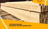 Доска обрезная 1сорт - 30 х 150 х 6000 ГОСТ